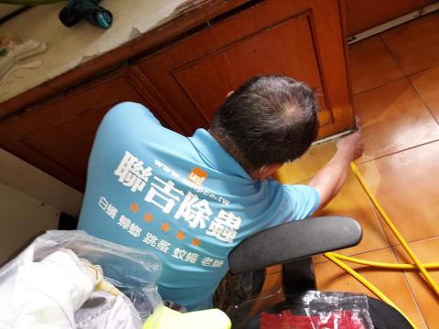 聯吉專業消毒除蟲公司 - 白蟻防治工程~