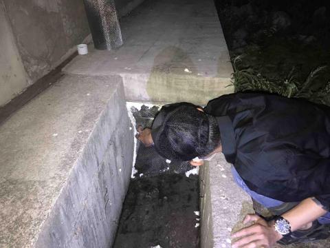 凱翔環衛 - 鼠害孔洞封阻
