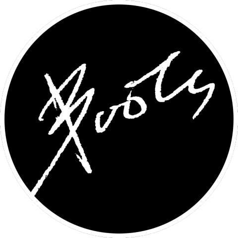 提供翻译u服務的專家Boots 薛逸凱