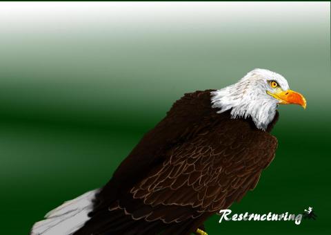 陳昱愷 - 老鷹 電繪