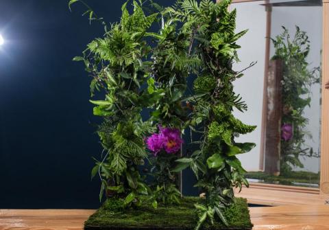 FR花想世界 - 盆栽組合設計作品