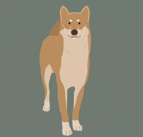 Shanti_Design - 似顏繪繪製