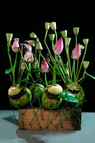 FR花想世界 - 夏日花藝設計作品