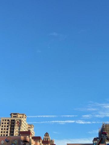 提供word翻譯服務的專家楊蕙瑄