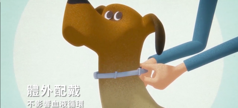 巧橋設計有限公司 - 拜爾零蚤蝨廣告