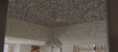 巧橋設計有限公司 - 人生清理員特效製作