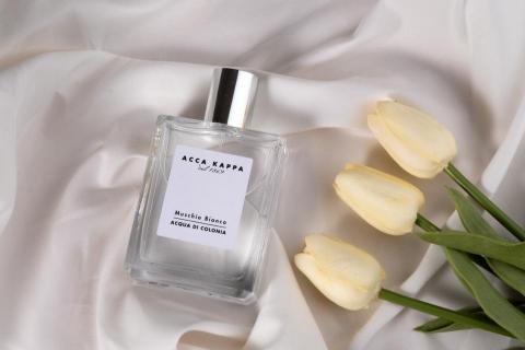 梨子的工作室 - 