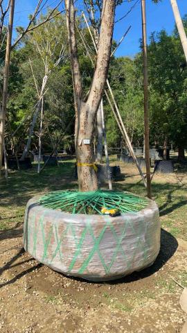 提供人工草皮服務的專家長青園藝