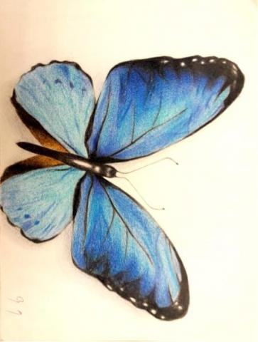 高子涵 - 蝴蝶色鉛