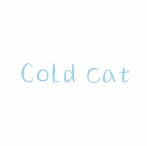 提供冷暖氣服務的專家Cold Cat冷貓工作室