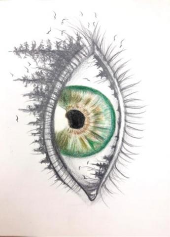 高子涵 - 素描結合色鉛