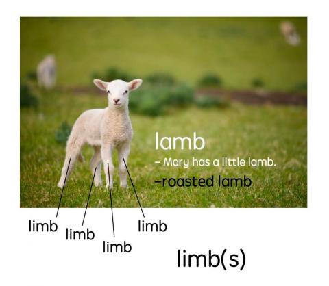 吳雙 - 相似發音的單字連結 + 補充歌曲、生活化單字