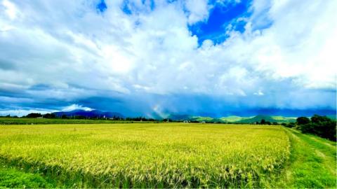 Happy＆Hope Studio(影片剪輯、空拍攝影) - 