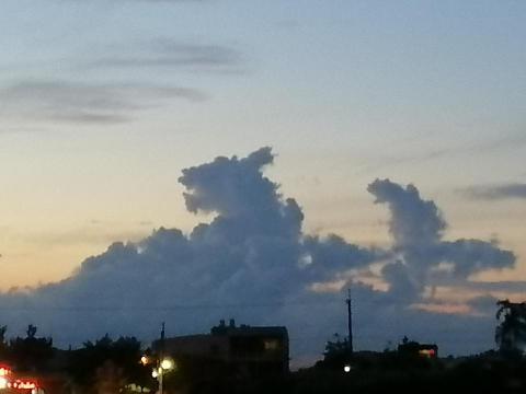 提供導遊服務的專家方偉丞