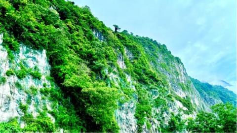 Happy＆Hope Studio(影片剪輯、空拍攝影) - 