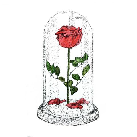 reflectionholder - 針筆水彩手繪 
古典點畫風格