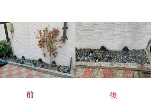微森林園藝養護工作室 - 台南市安南區,社區景觀維護 微森林園藝養護工作室 - 台南市安南區,社區景觀維護