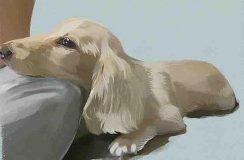 芋頭小畫室 - 電繪寵物
