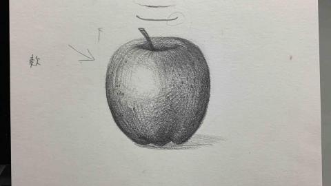 田米娜畫室 - 基礎素描
