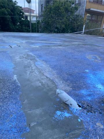 洪呈昇 - 屋頂區塊防水施作中