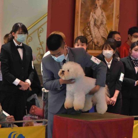 Andy - C級指導手優秀技術
C級職業組競技第一
