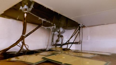 蔡光倫 - 中央廚房滅鼠