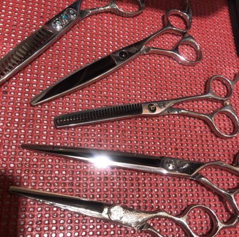 提供美髮剪刀服務的專家Sam Chou