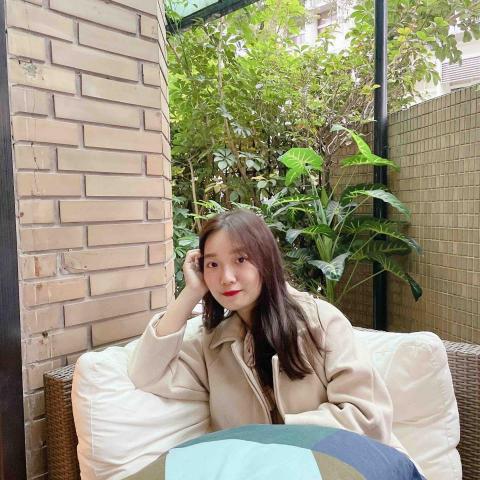 提供n3服務的專家袁麗雅