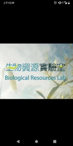 龍鳥繪社繪圖設計 - 標準字設計
