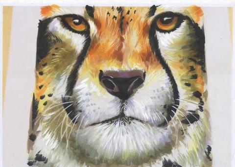 美術班 - 麥克筆畫動物