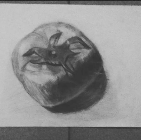 美術班 - 素描技法