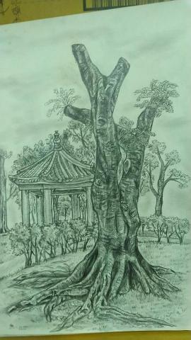 龍鳥繪社繪圖設計 - 風景素描作品