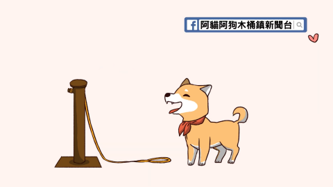 黃愷瑄 - 2015年 受火星數位股份有限公司委託正在動映有限公司進行『「阿狗阿貓日常生活」微動畫影片製作案』 擔任中割、填色。