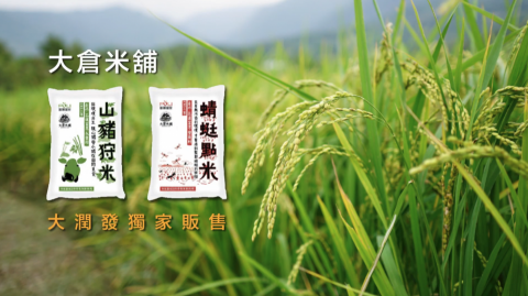 黃愷瑄 - 2017年 受大潤發流通事業股份有限公司委託正在動映有限公司，製作『大潤發直採特輯』（第一季12集），擔任攝影。