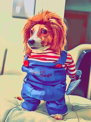 提供oppo耳機服務的專家軋比烈