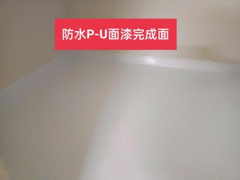 三合順防水油漆塗裝裝修工程 - 防水PU面漆完成面
