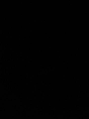 提供孫盛希服務的專家希