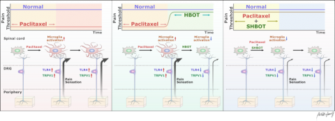 Akira Yang - SCI 論文摘要圖. https://link.springer.com/article/10.1007%2Fs00520-021-06269-8 Akira Yang - SCI 論文摘要圖. https://link.springer.com/article/10.1007%2Fs00520-021-06269-8