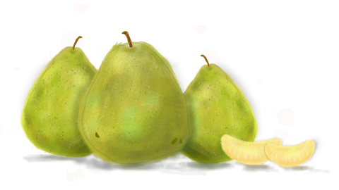 Kristydoodle - 電繪 | 文旦