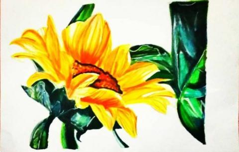 美術班 - 向日葵麥克筆