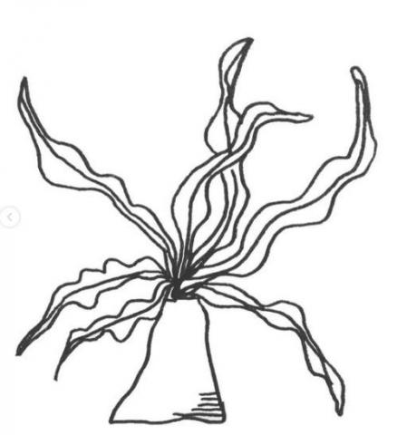 Kristydoodle - 手繪 | 也許是植物山蘇