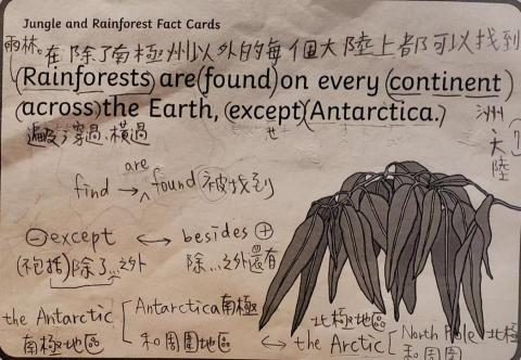 彭倢愉 - 在學校教材上，多做說明和補充