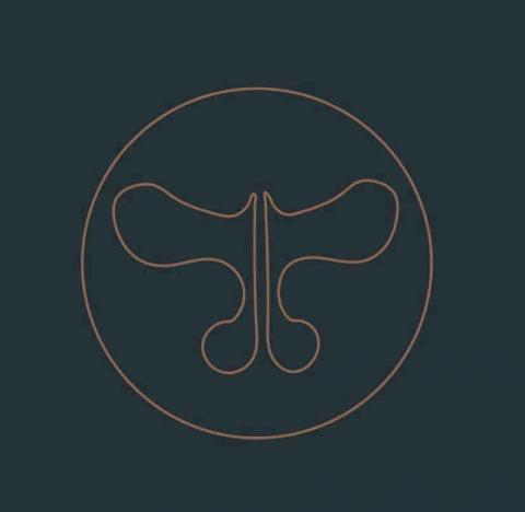 提供deepl翻译pdf服務的專家Andy Huang