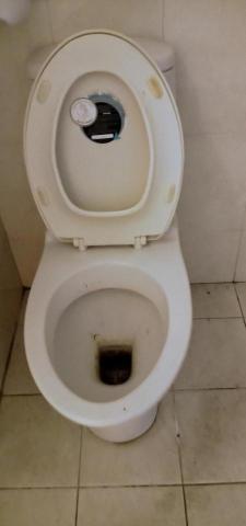 滿心家政服務 - 馬桶施作前