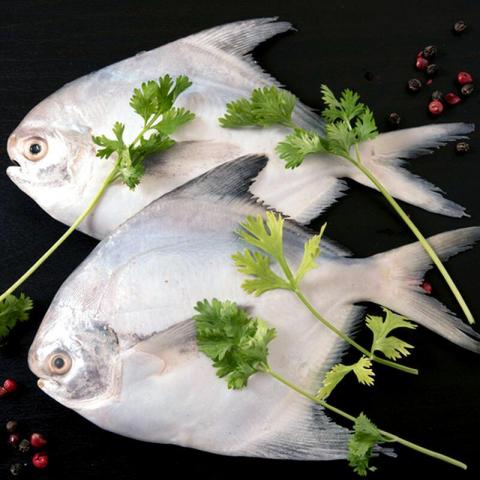 臻鮮購商行 - 台灣正白鯧