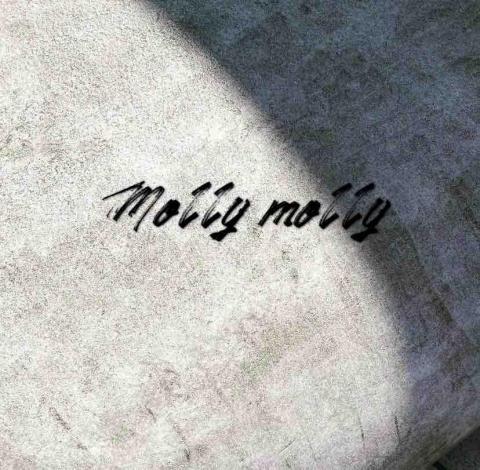 提供女裝服務的專家Mollymolly 