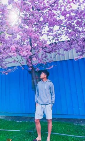 提供法文服務的專家吳昕恩