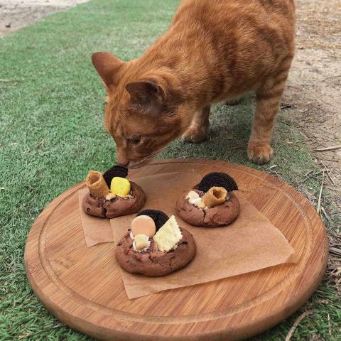 提供法文服務的專家Sarah Chen &uml;̮ 