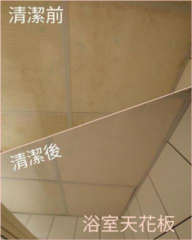 絨絨 潔淨家空間細緻  清潔社 - 輕鋼架 絨絨 潔淨家空間細緻  清潔社 - 輕鋼架
