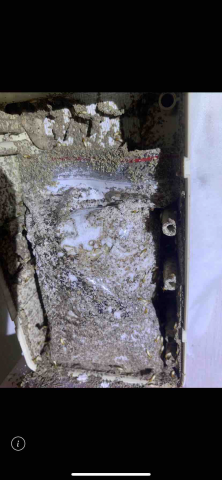 銘鑫環衛有限公司：統編83780220:各種蟲害防治.居家清 - 蟻巢滅系統
工蟻取食中